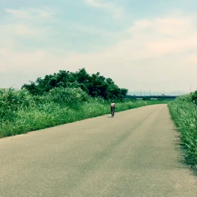 鈴鹿に向けて始動の画像