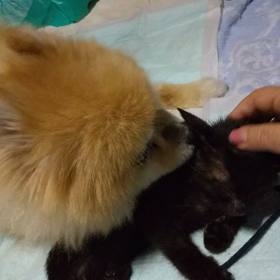 3ヶ月前の動画の画像