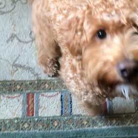 お腹が空きすぎて？の画像