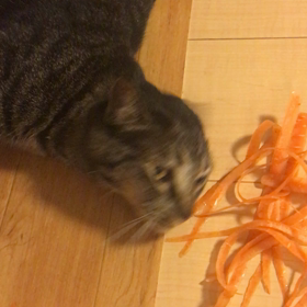 やっぱり人参よし子(☆∀☆)の画像