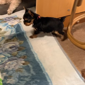 今が大事な時だからの画像