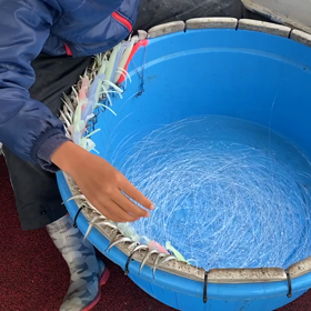 久々の太刀魚漕ぎの画像