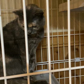 初めて！の画像