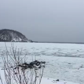 流氷。の画像
