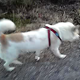 ちょっと寒いの画像