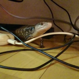 とっておき！の画像