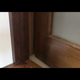 今日のテンの画像