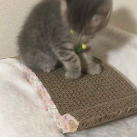 つかいかたの画像