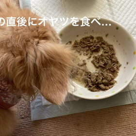 リハビリ→おやつ→中間のお食事の画像