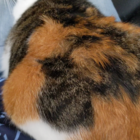 あんたも、重い(T_T)の画像