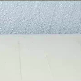ペンギンの画像