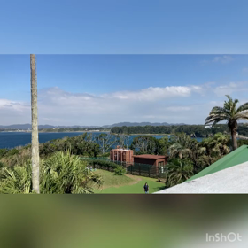 ひんやりを卒業の画像