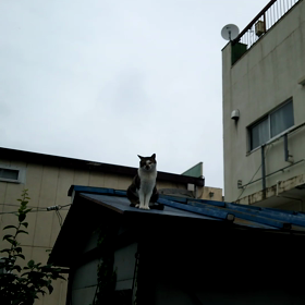 またひとつ面倒な事が終わったの画像