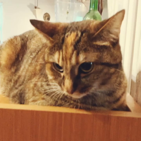 7/14生まれのあなたへの画像