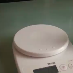 「待て」ができるインコの画像