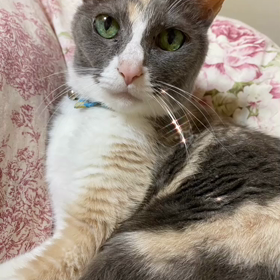 今年もよろしくお願いしますm(__)mの画像