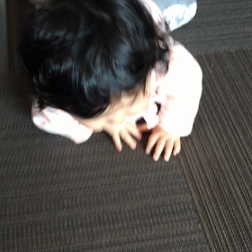 パパパがブーム？の画像