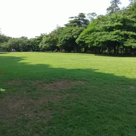 7月2日 ジャベリックボール投げ⑥の画像