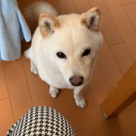 こんにちは☀️の画像