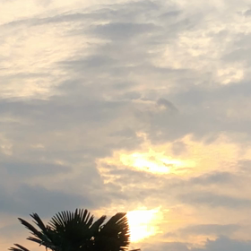 10月お稽古のご案内の画像