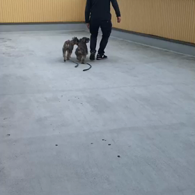 痩せた？の画像