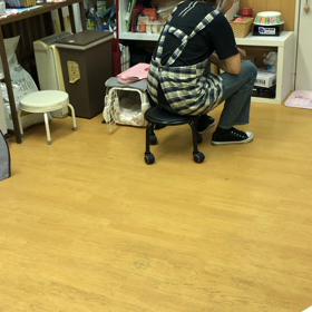 つむぎ編。の画像