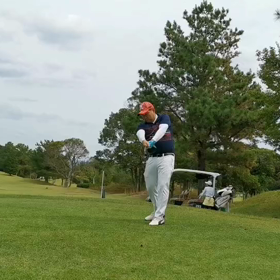 こんなん絶対ホームラン打てるの画像