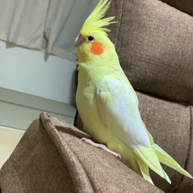 今年もあと少し…の画像