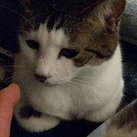 5月1日（土）連休1日目の画像