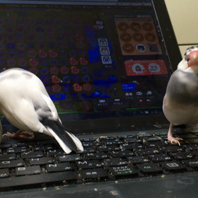 寝てるの！の画像