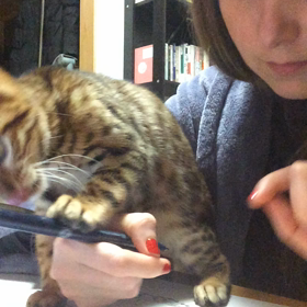 邪魔してくるSophi♡の画像