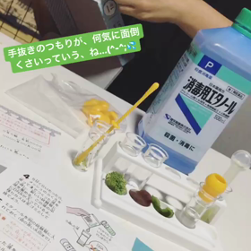 自由研究の画像