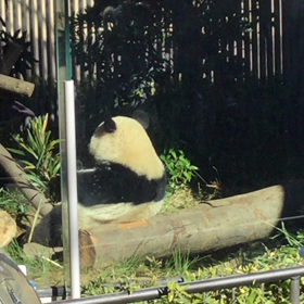 ”羽生選手にエールを送ろう！”の画像