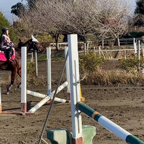 乗り納めの画像