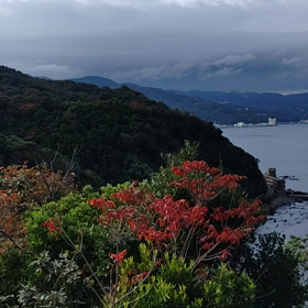 11/8(日)伊豆の画像