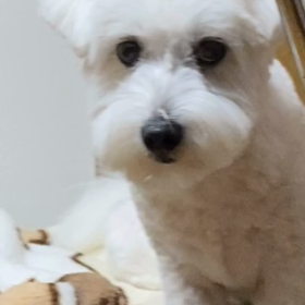 2023/11/09の画像