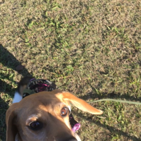 待てないよーの画像