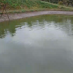 いけあげの画像