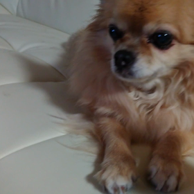 一言日記　〜許せよぉぉ(汗)〜の画像