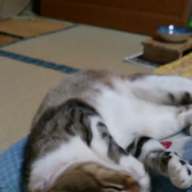 特になし ………?の画像