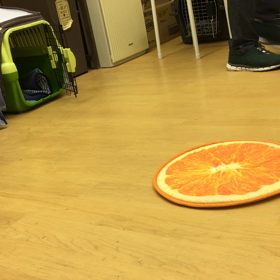 お手本よ。の画像