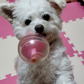 11月なのに暖かいの画像