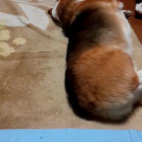 毎日の日課の画像