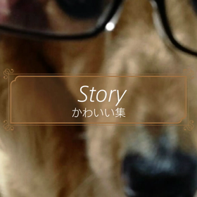 暑いけど10月の画像