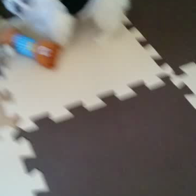 成長って早いねの画像