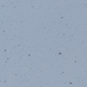 雪/動画の画像