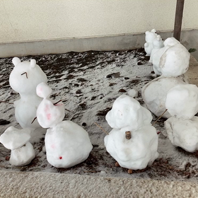 雪溶け☃️の画像