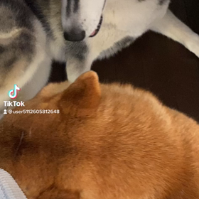 小さな私。の画像