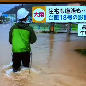 報恩は人間特有の心の画像