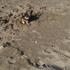 千葉最高ーの画像